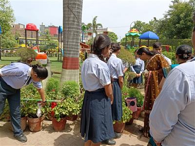 Drip Irrigation Activity (Class VI-XII)