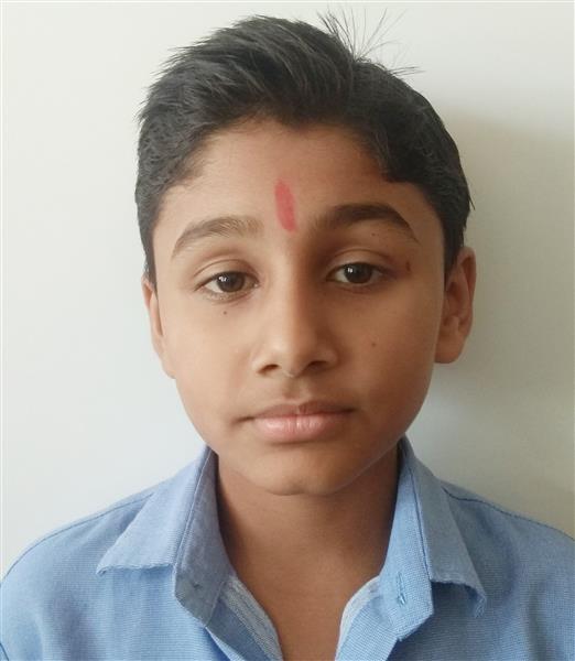 St mary school online fees picture